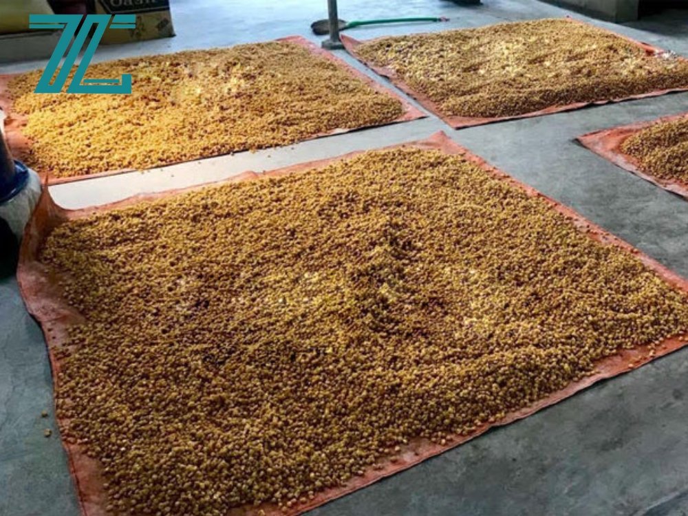 Cách nấu rượu ngô - Trộn men rượu ngô