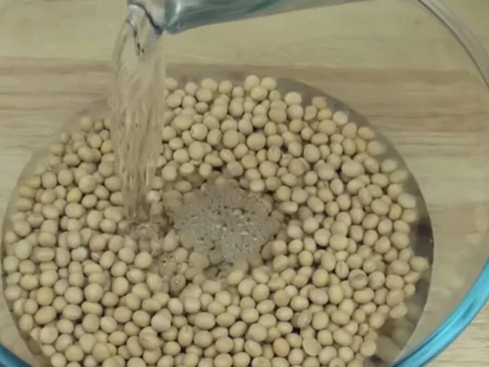Sơ chế hạt đậu nành