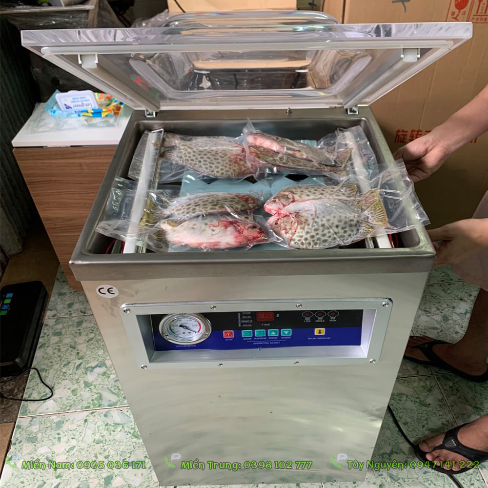 Máy hút chân không ở Vũng Tàu